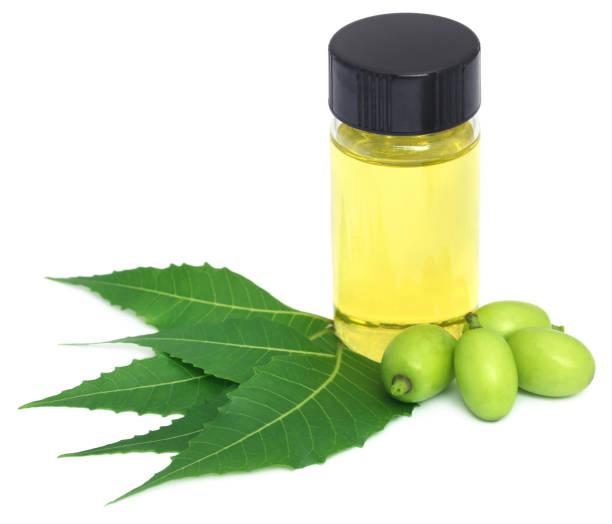 Neem